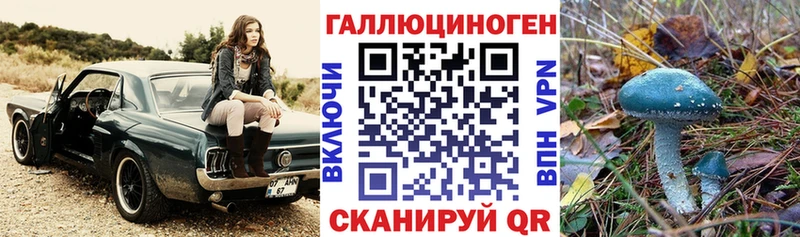 mega ТОР  сколько стоит  Минеральные Воды  Галлюциногенные грибы Cubensis 